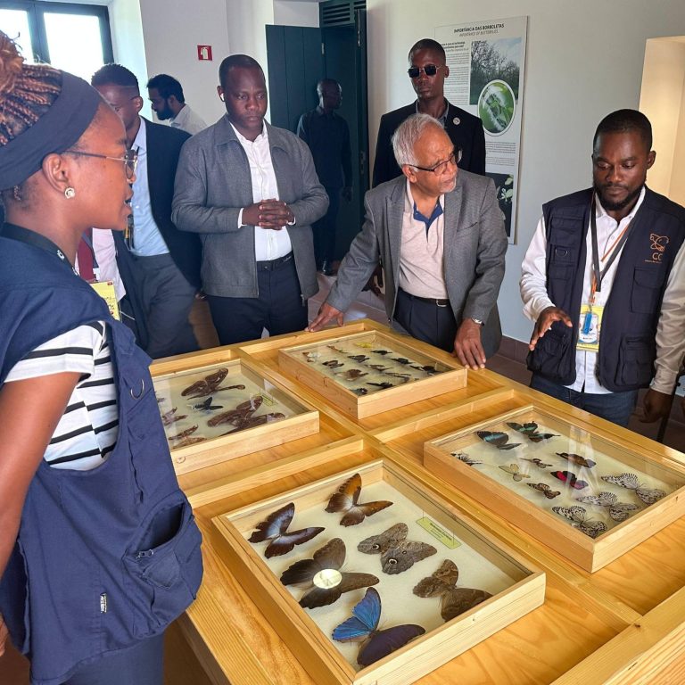 589952566_122159921684749960_2426517675511473505_n