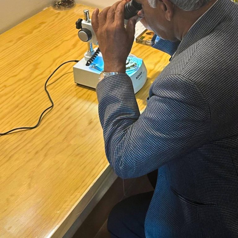 590966460_122159921756749960_1115650276903119808_n