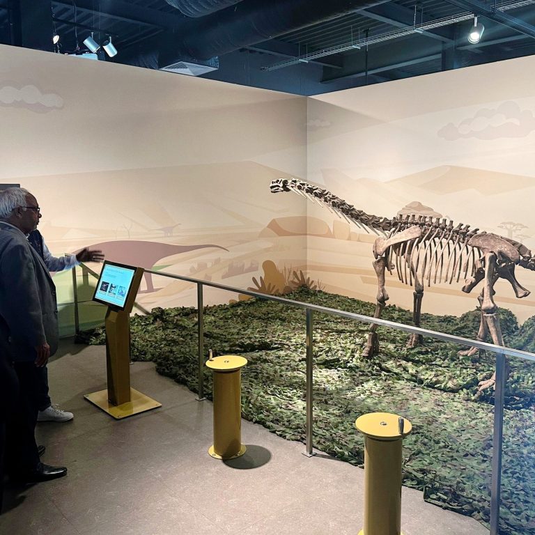 591574600_122159925176749960_1379447114797887616_n