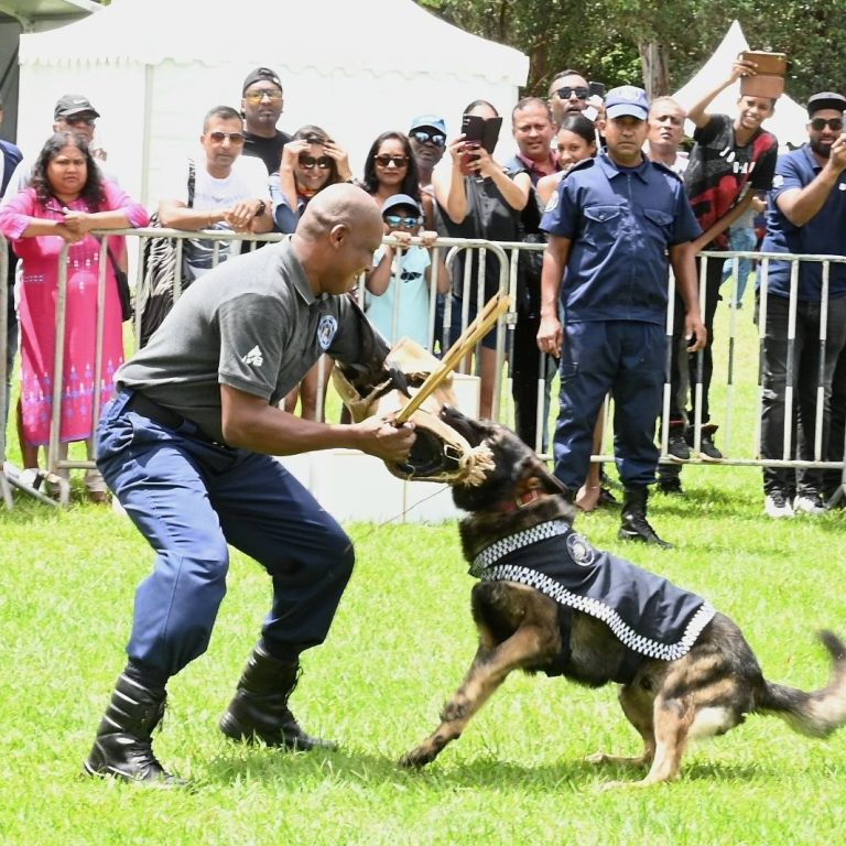 589208136_122160656366749960_1244007570333425738_n