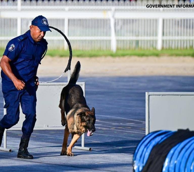 649320920_122176562552749960_5171359786512980778_n